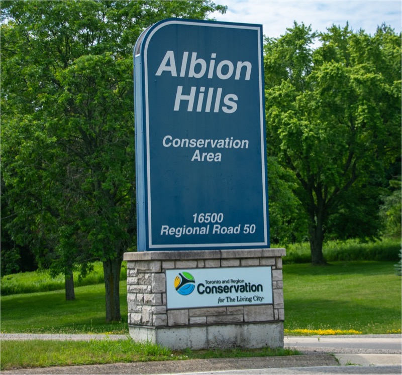 Albion Hills Conservation Area near Bolton Place Caledon